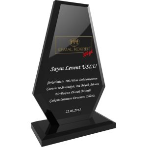 Logolu promosyon EKT-280 Kristal Plaket